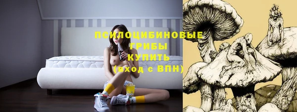 ешки Елизово