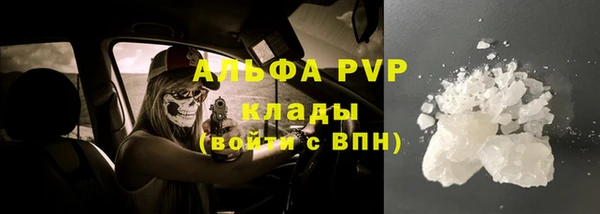 ешки Елизово