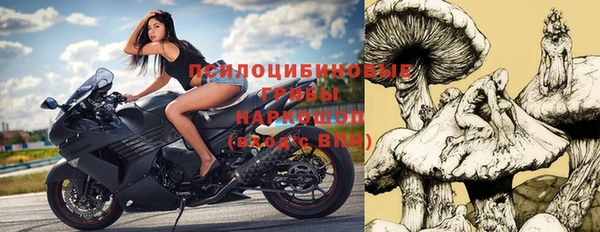 герыч Елабуга