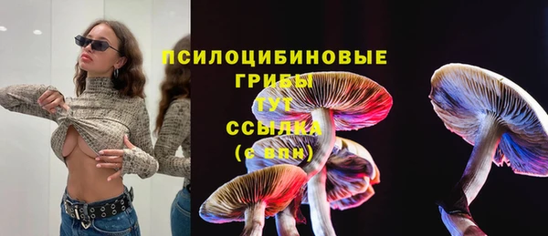 бошки Дмитров