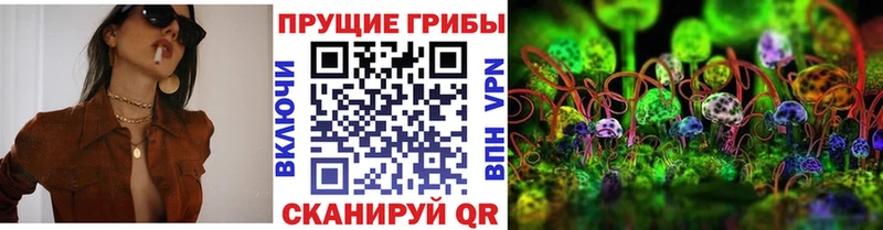 МЕГА ссылки  как найти закладки  Краснозаводск  Псилоцибиновые грибы Psilocybine cubensis 